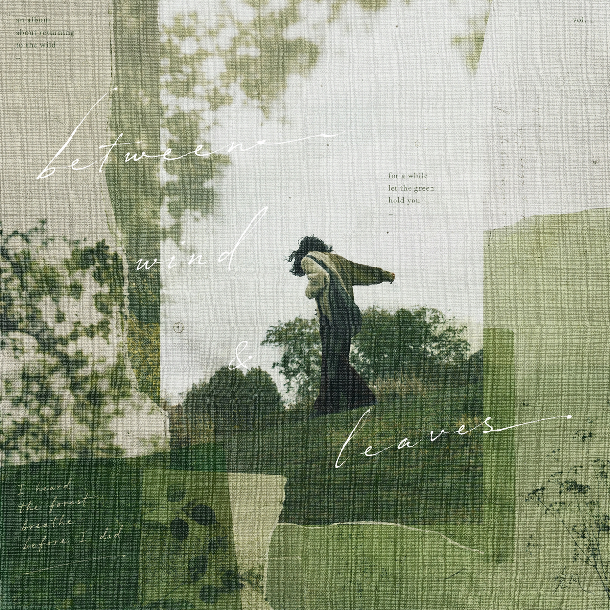 A Shiver of Green — album cover