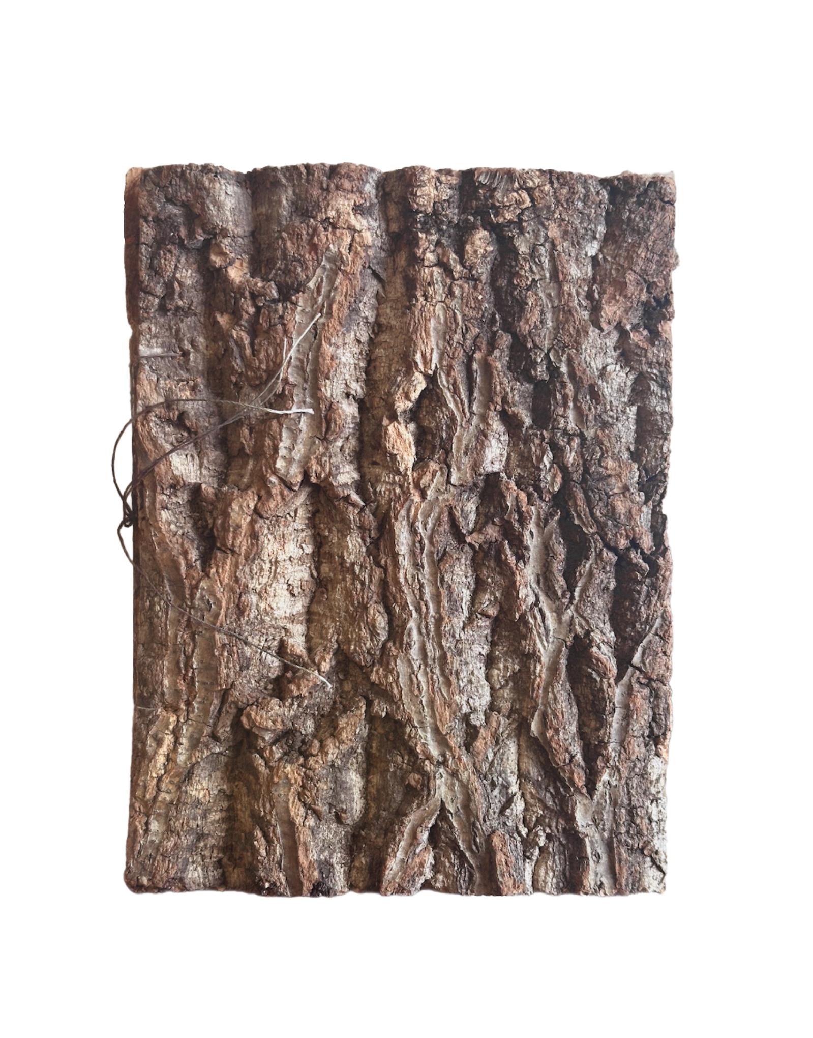 Bark fold — oak bark cover, bound with linen thread and twig fragments.
