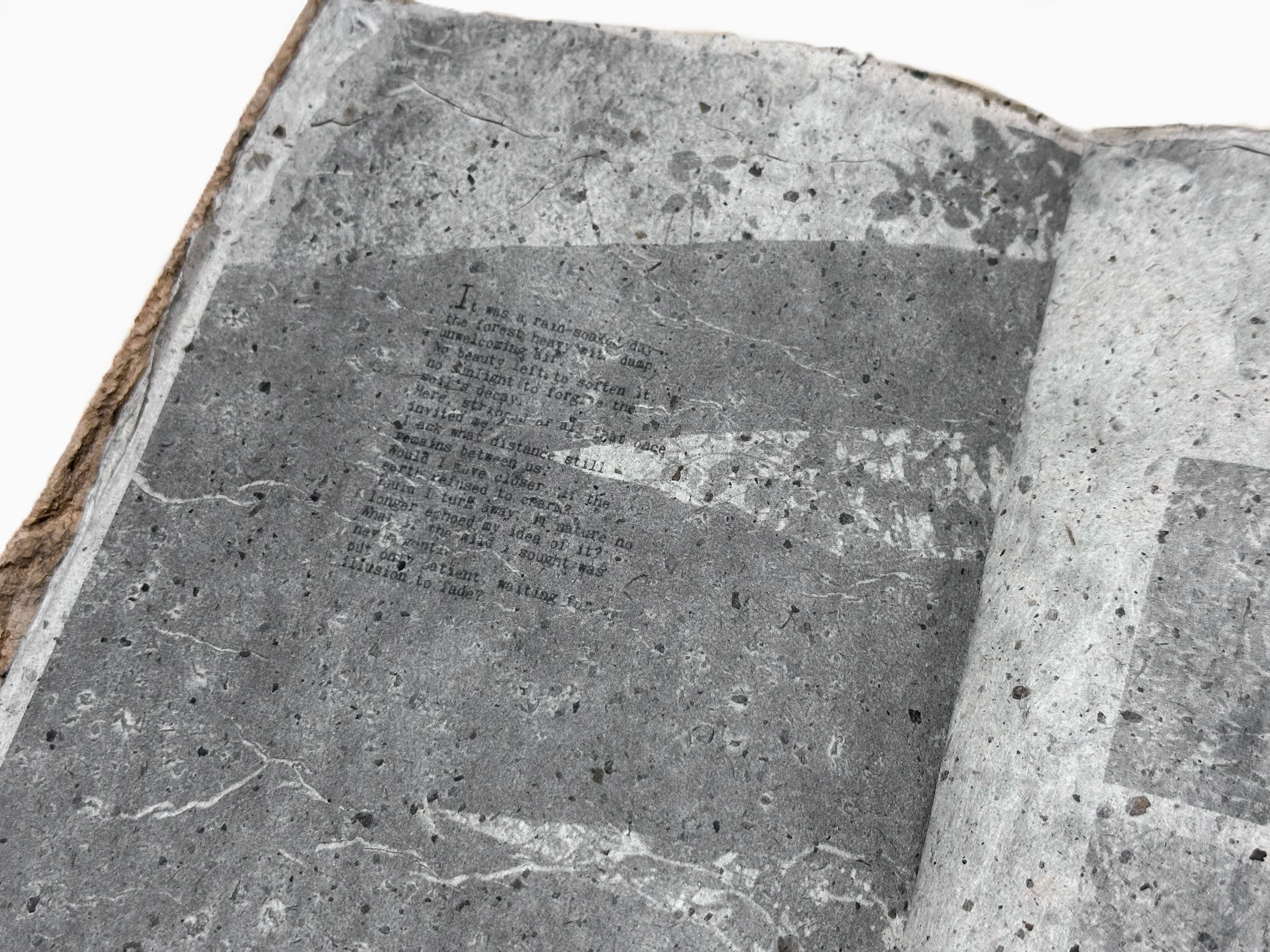 Spread one — a typewritten stanza pressed into damp grey pulp.