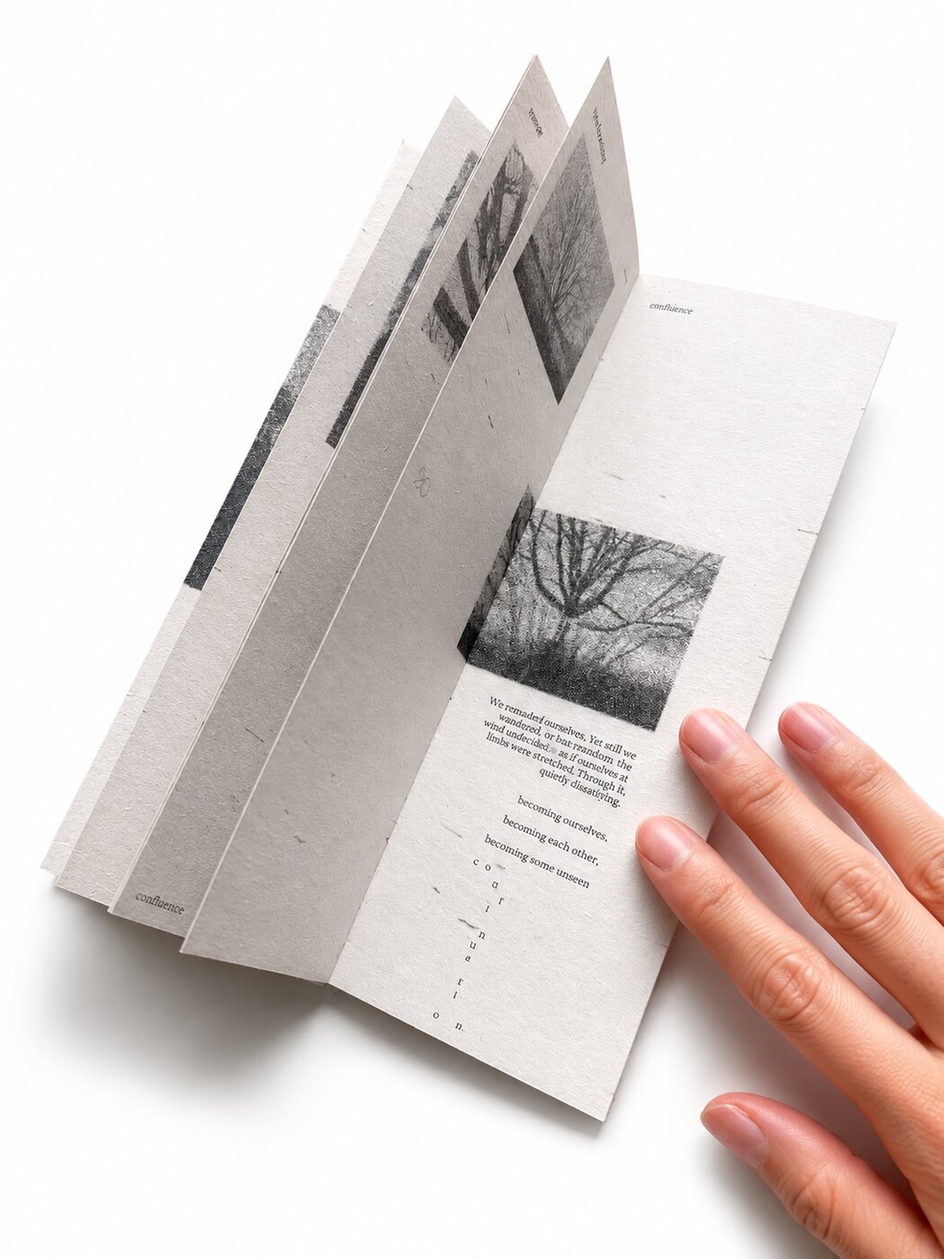 A multi-fold spread — arms echo branches, forms briefly continuous, yet still distinct.