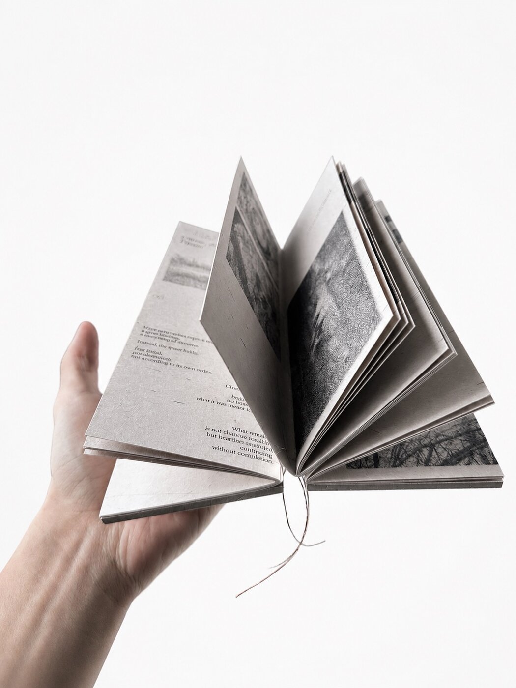 The book opened into a fan, all pages cascading outward from the exposed spine.