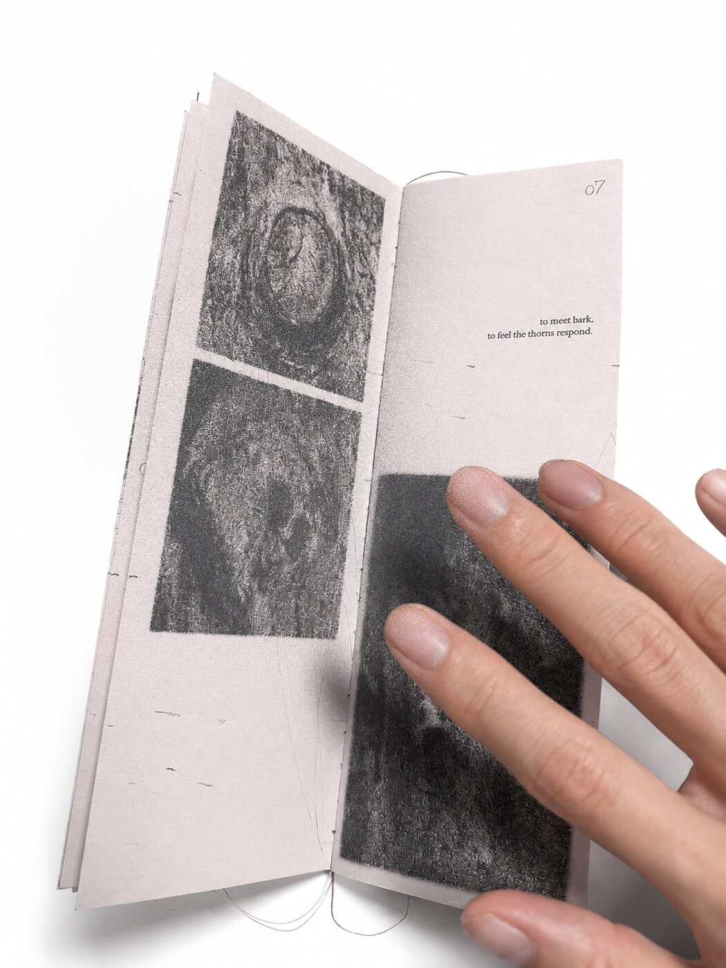 A spread showing the hand reaching toward bark — close-up details of knots and thorns.