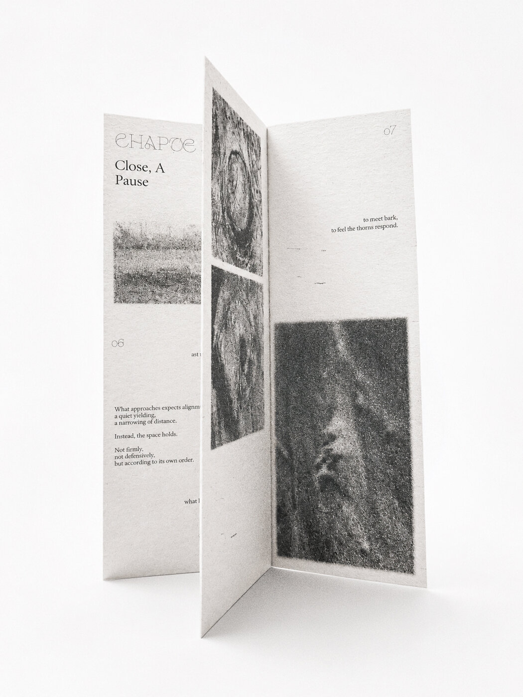 A folded spread, 'Close, A Pause' — the body waiting within the field of the tree.