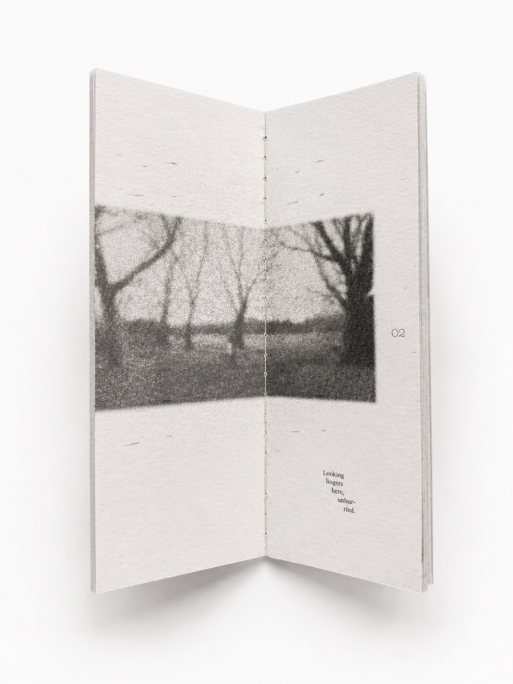 A spread with a soft, dotted photograph of trees seen from the field — distance softened but not erased.
