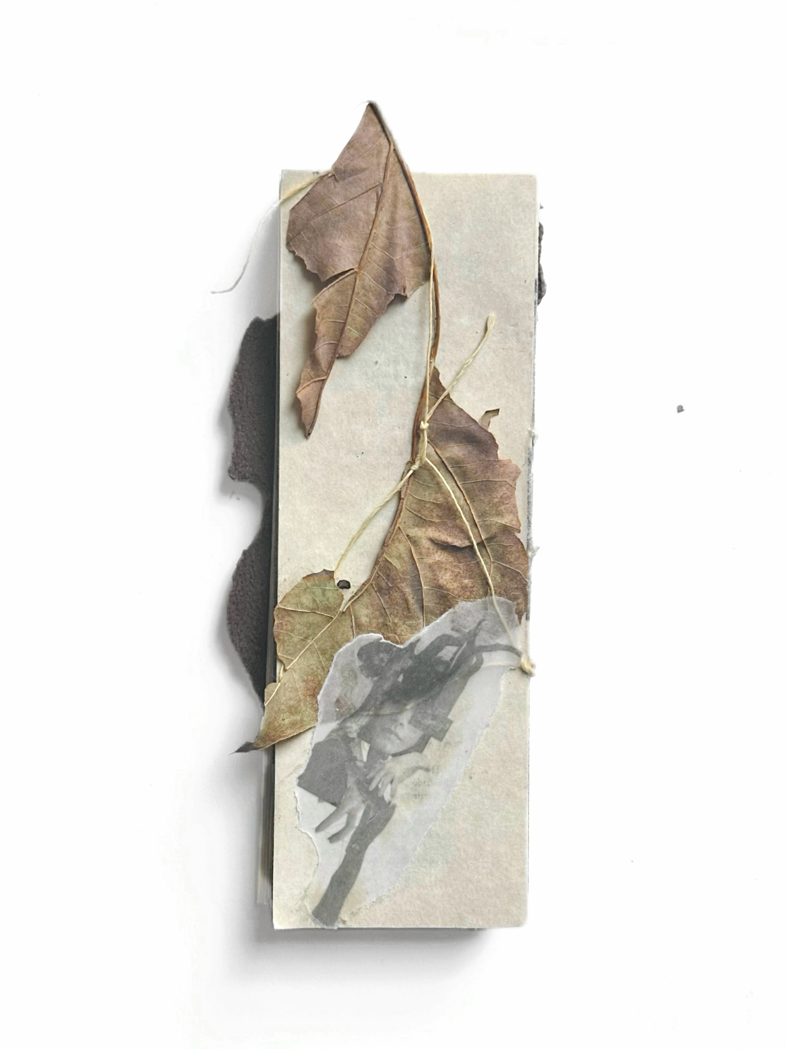 A Dialogue with Nature — cover with leaves and tracing paper