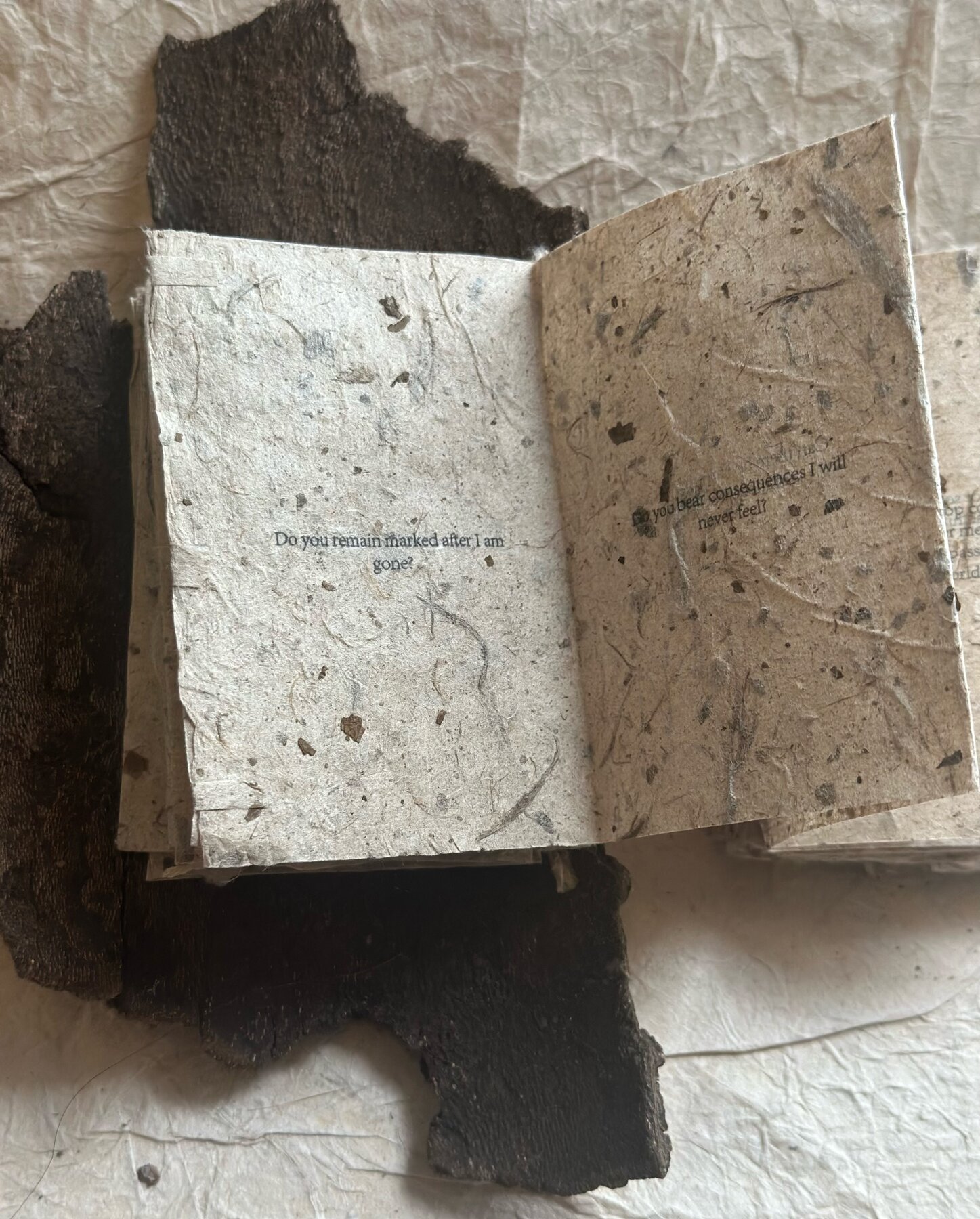 An early spread — two cream pages held open against the bark cover.