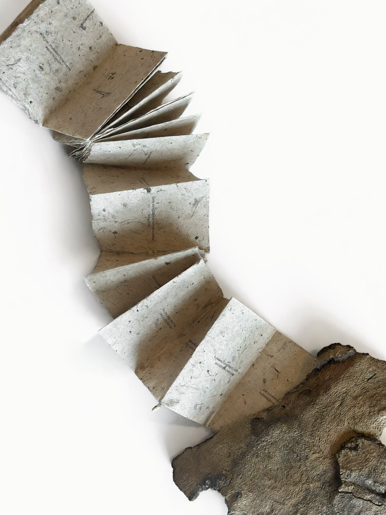The zine fanned out — folds receding away from the bark, language thinning as it goes.