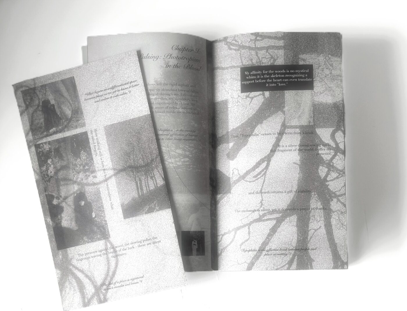 A spread from the chapter 'Pulsing: Phototropism in the Blood' — a tree silhouette layered with text fragments.