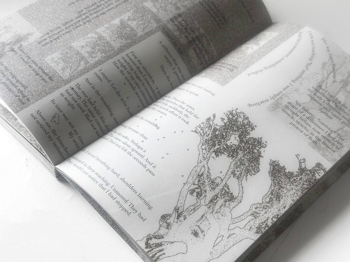 A spread with a tree drawing and text spiraling around its branches — the chapter on intertwining and reach.