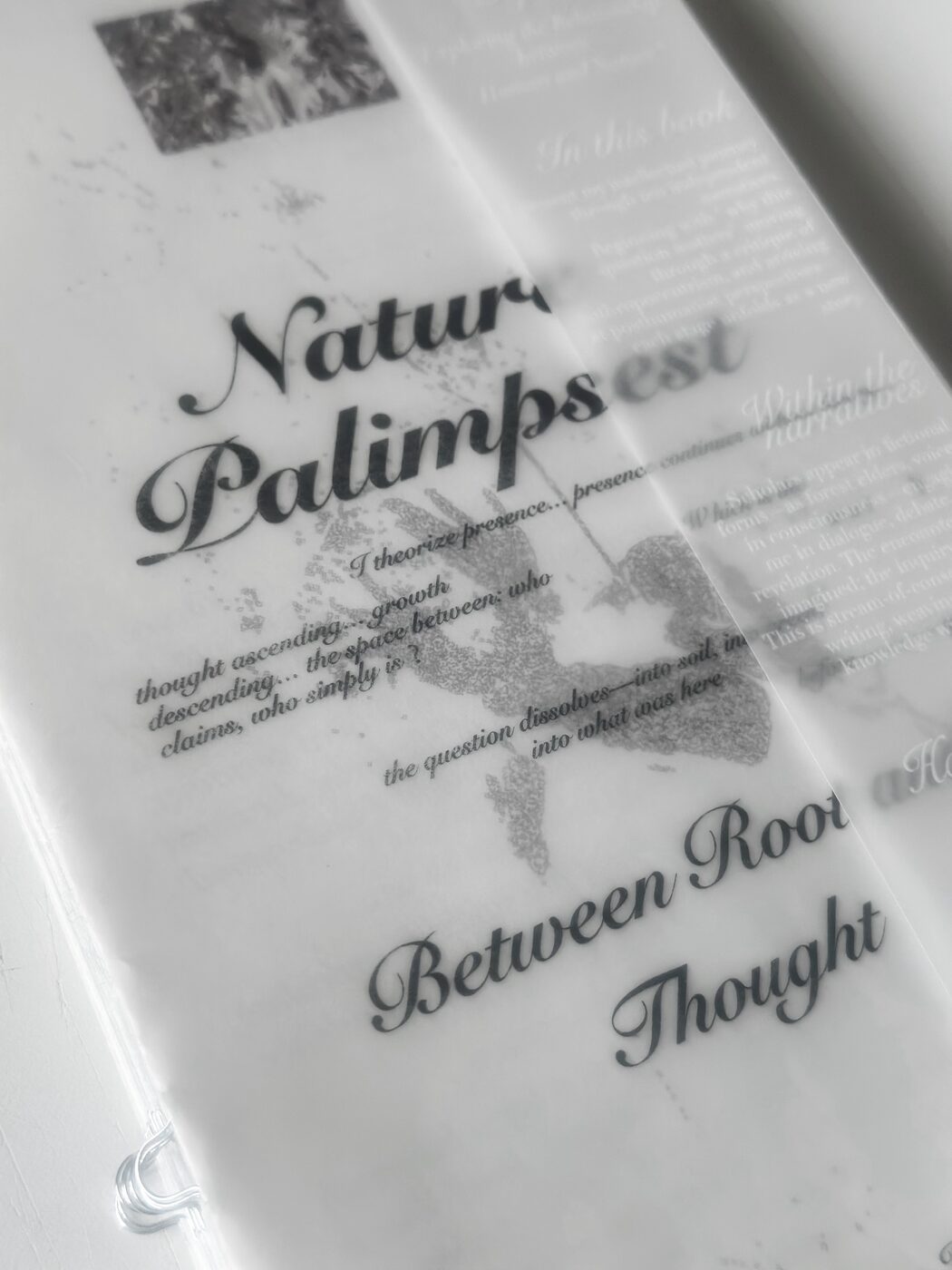 The title page: 'Nature Palimpsest — Between Root and Thought' shown through a tracing-paper overlay.