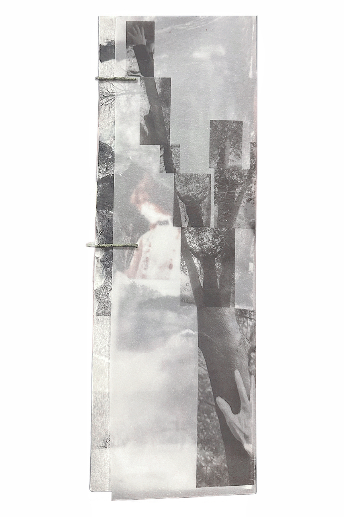 A spread — stitched-together strips of bark, sky, an arm, and a figure half-emerging through layers.