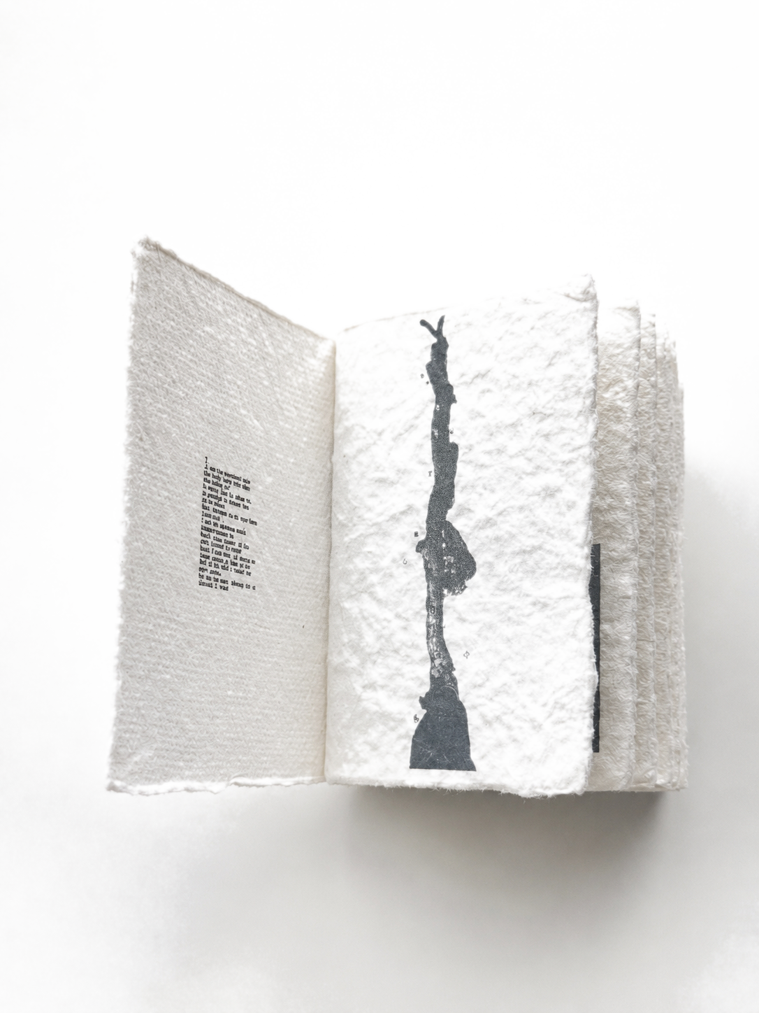 Inner spread — a long branch on one page, fragmentary text on the facing page.
