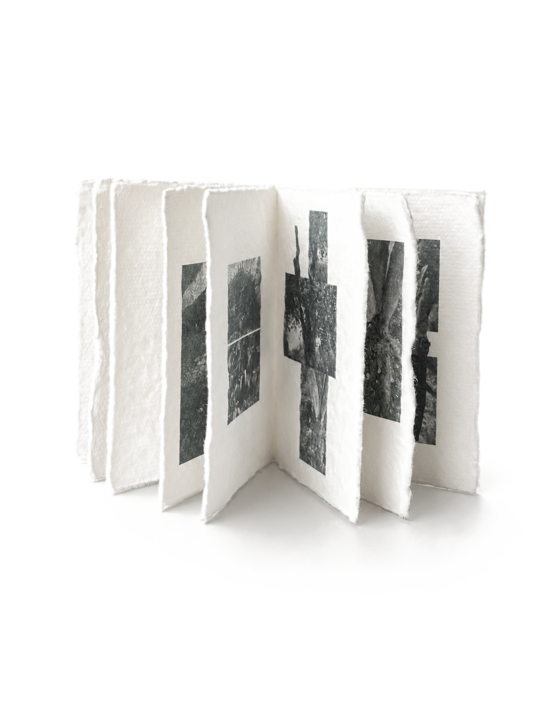 The zine fully unfolded, standing accordion-style.
