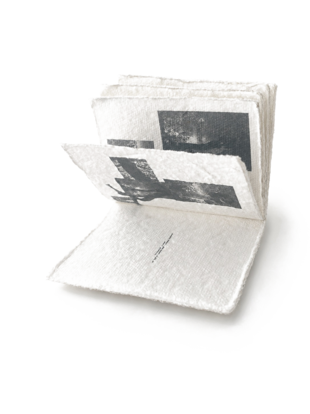 The zine half-open — colophon and a fragmented branch image visible.
