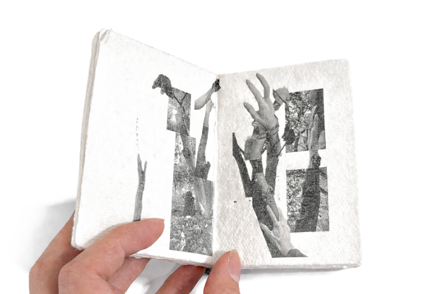 Inner spread — branches and bodies superimposed across two pages.