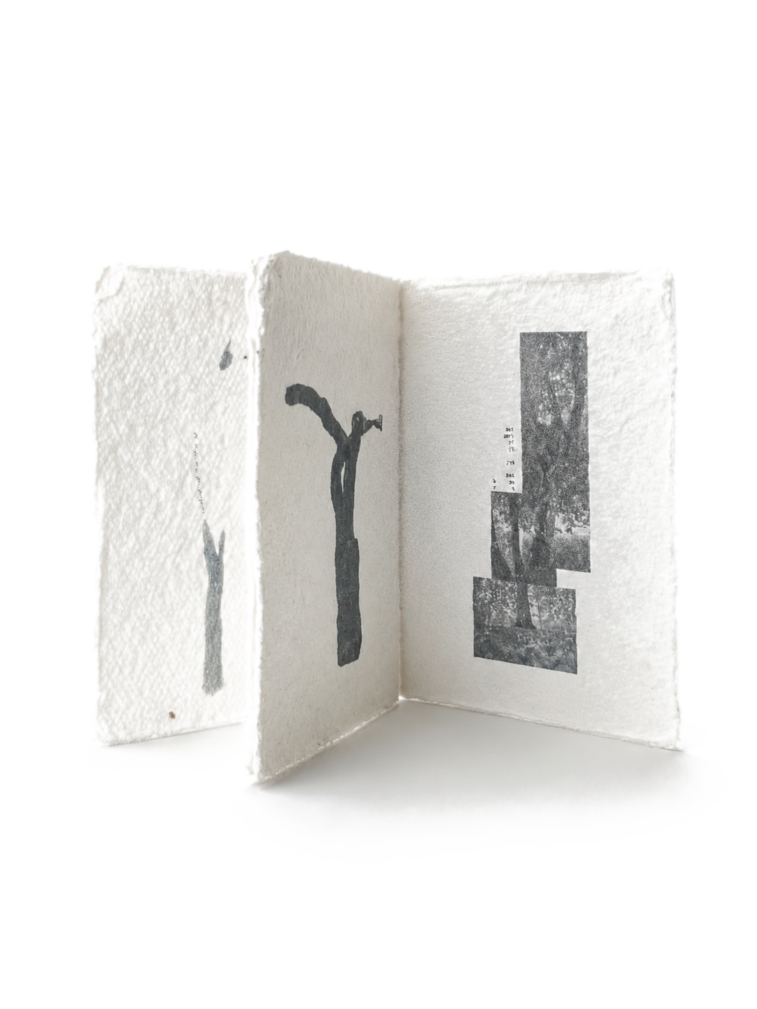 The zine zig-zag folded open — three pages visible, trees standing upright.