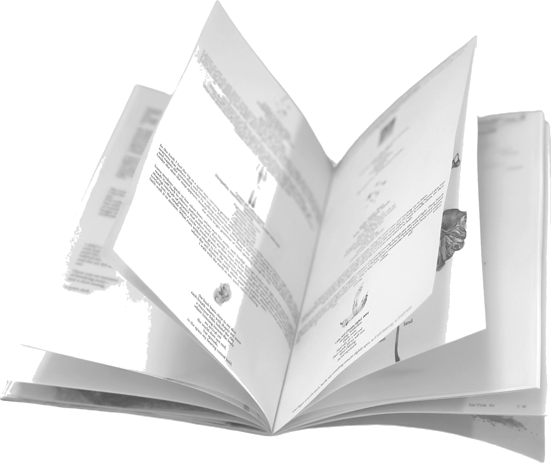 The book held open, pages mid-turn, fanned outward against air.