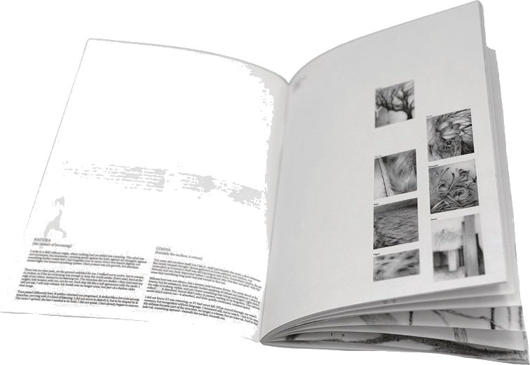 The book at rest, opened, faint trees in the spread.