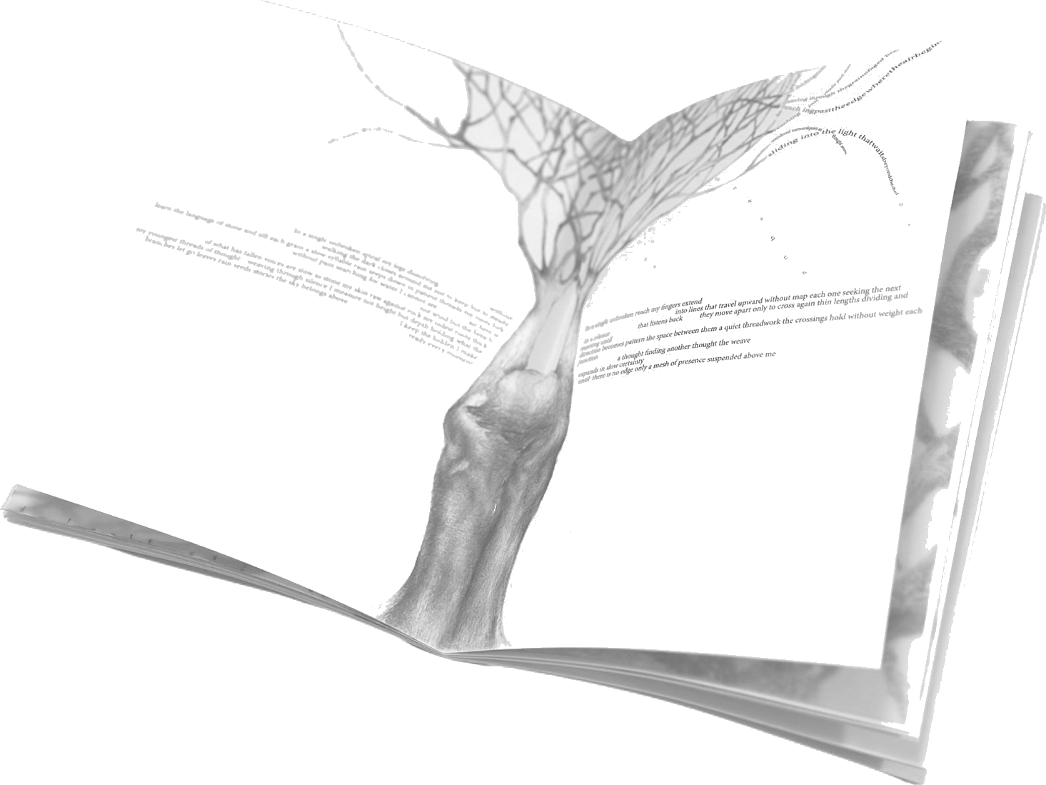 The book opened wide, a pencil tree filling the right page, scattered text on the left.