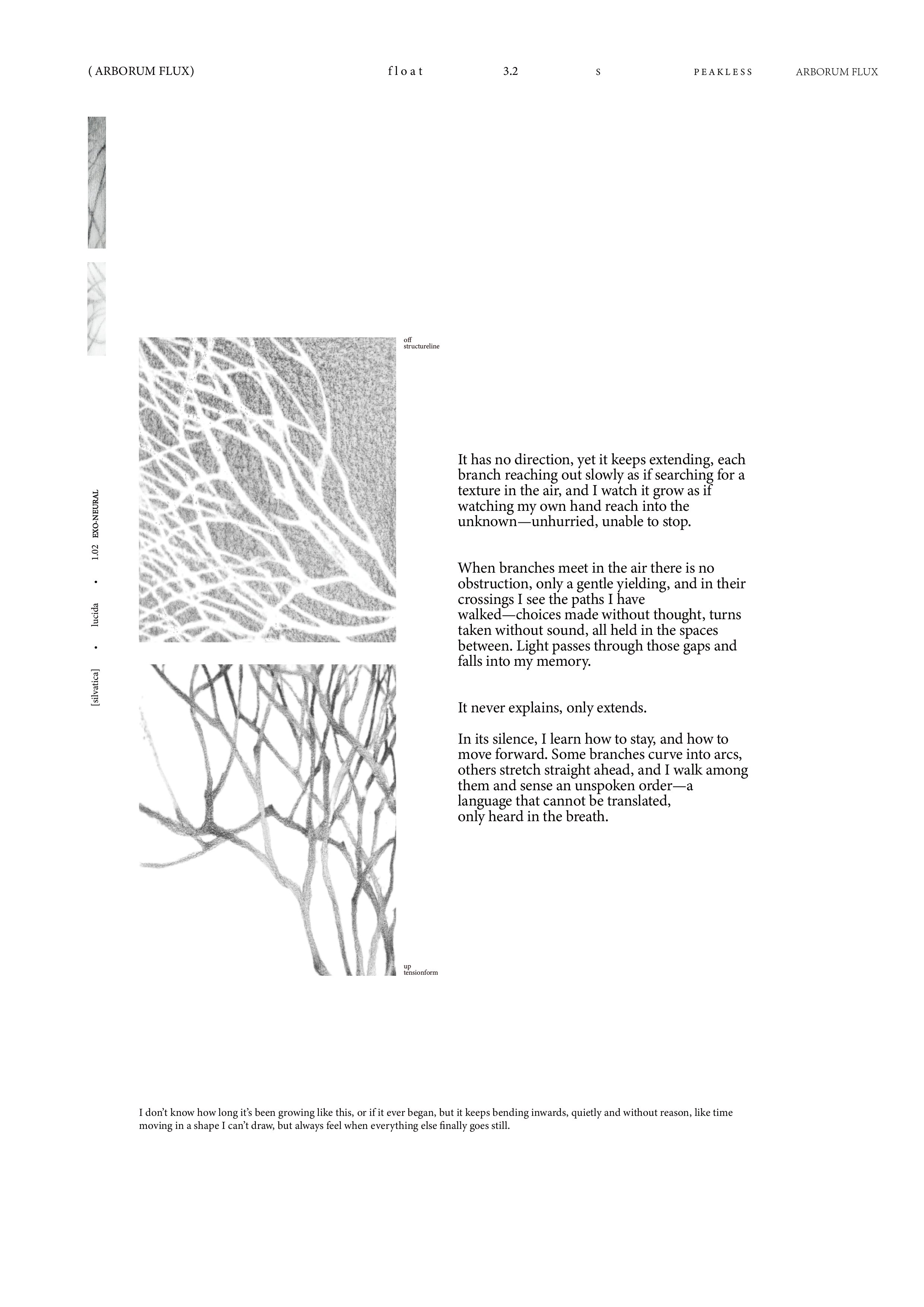 A spread from the book — branches and net of lines.