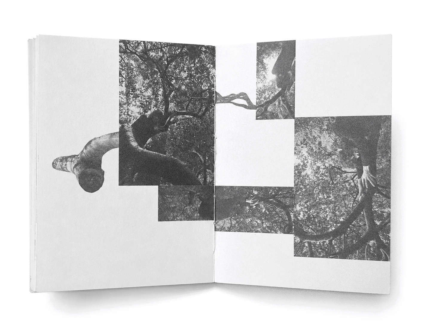 Spread one — canopy fragments cut and rearranged across two pages.