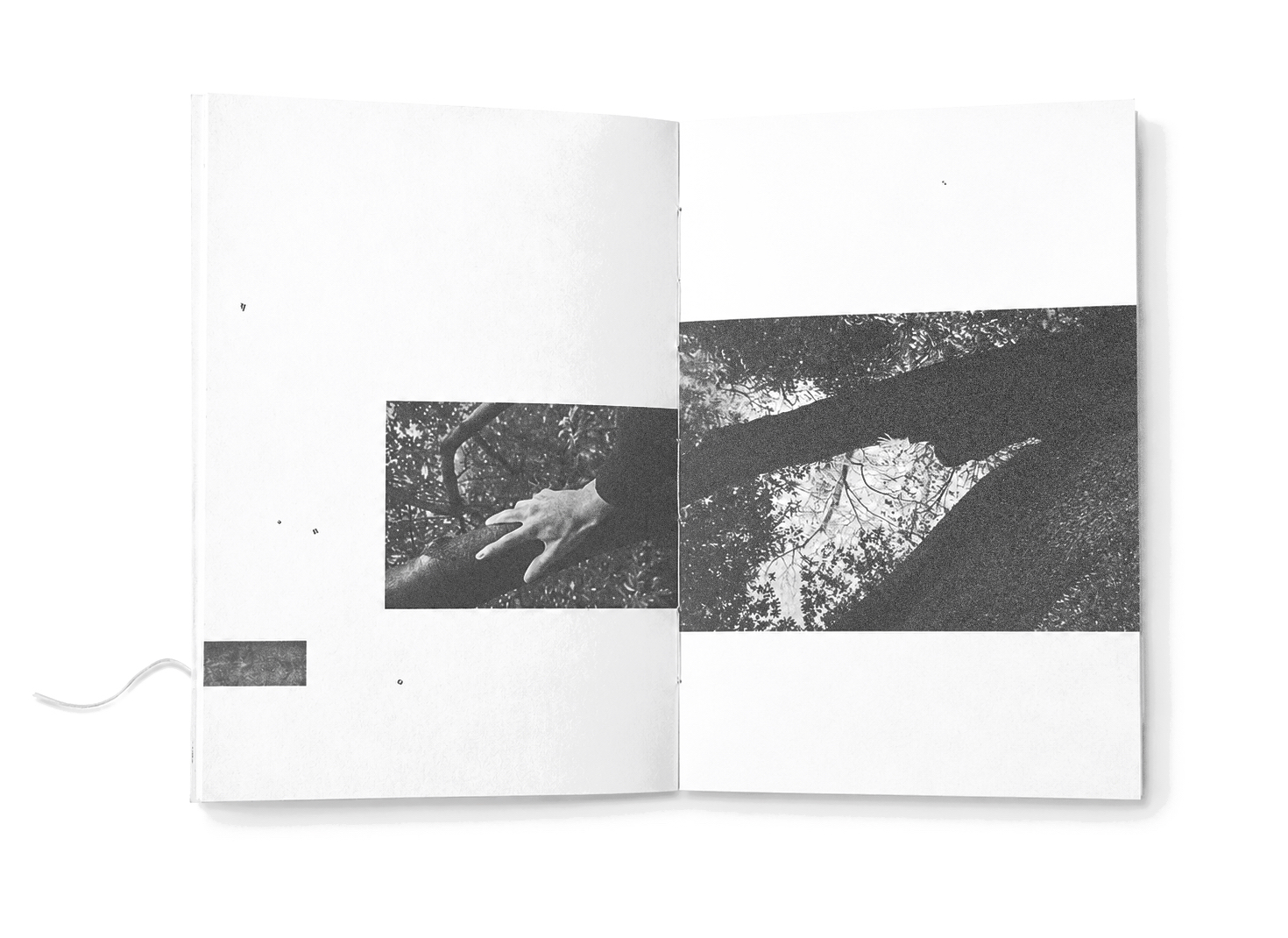 Spread two — a hand reaches into the canopy; a grainy halftone block on the right page.